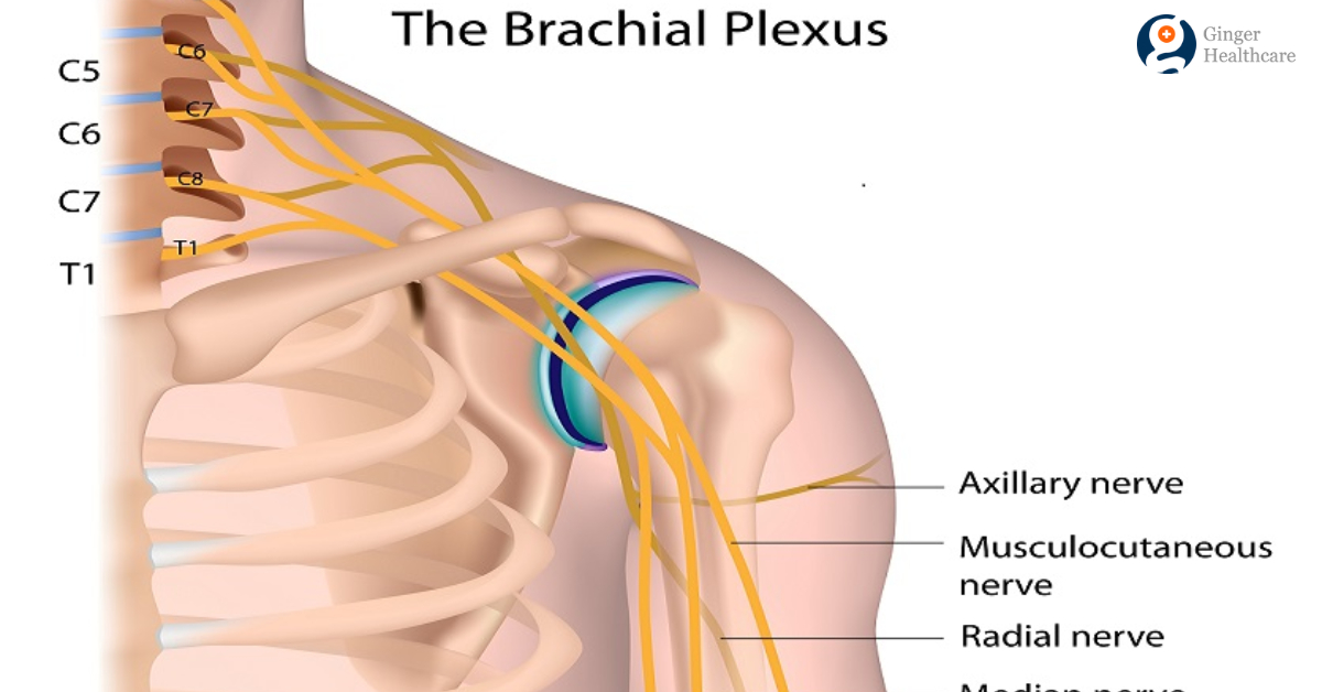 left-and-right-subclavian-artery-function-branches-stenosis