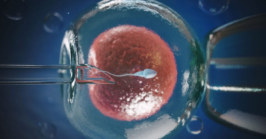 In Vitro Fertilization IVF Procedure Explained Step By Step