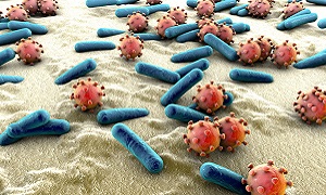 Bacteria Viruses Image 1
