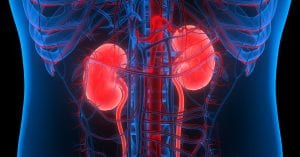 How to keep your kidneys healthy!