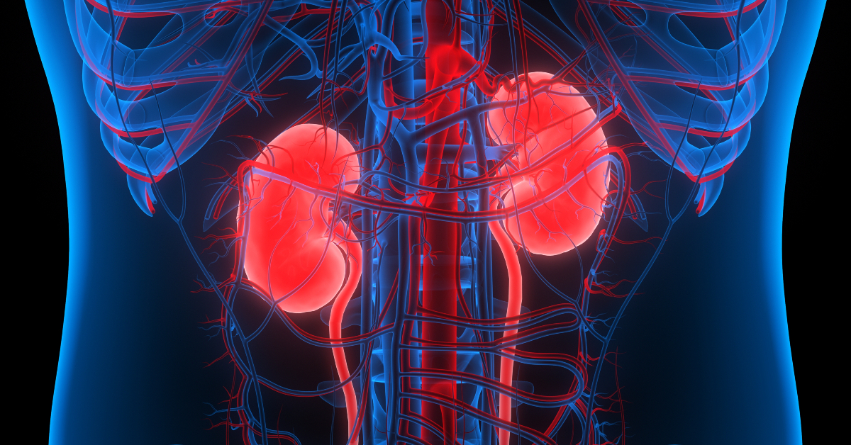 How to keep your kidneys healthy!