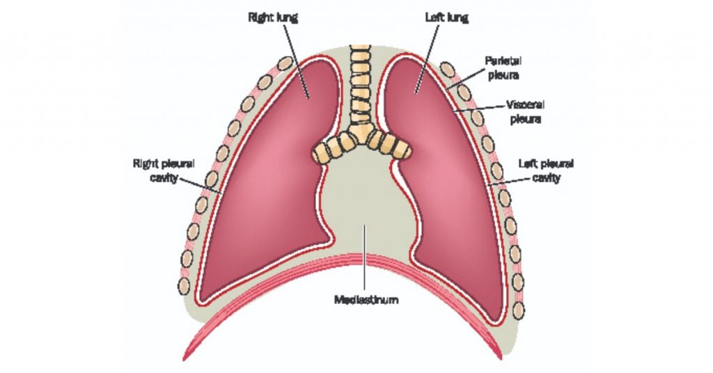 Best Drs & Hosps in India - Ginger Healthcare