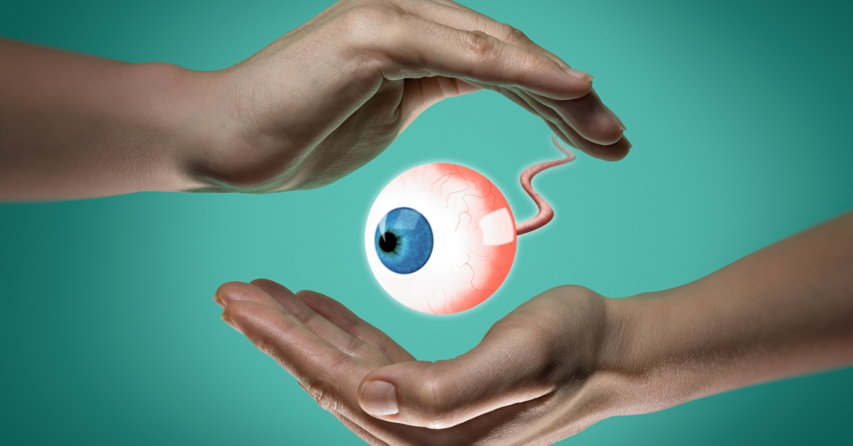 Eye Transplant image